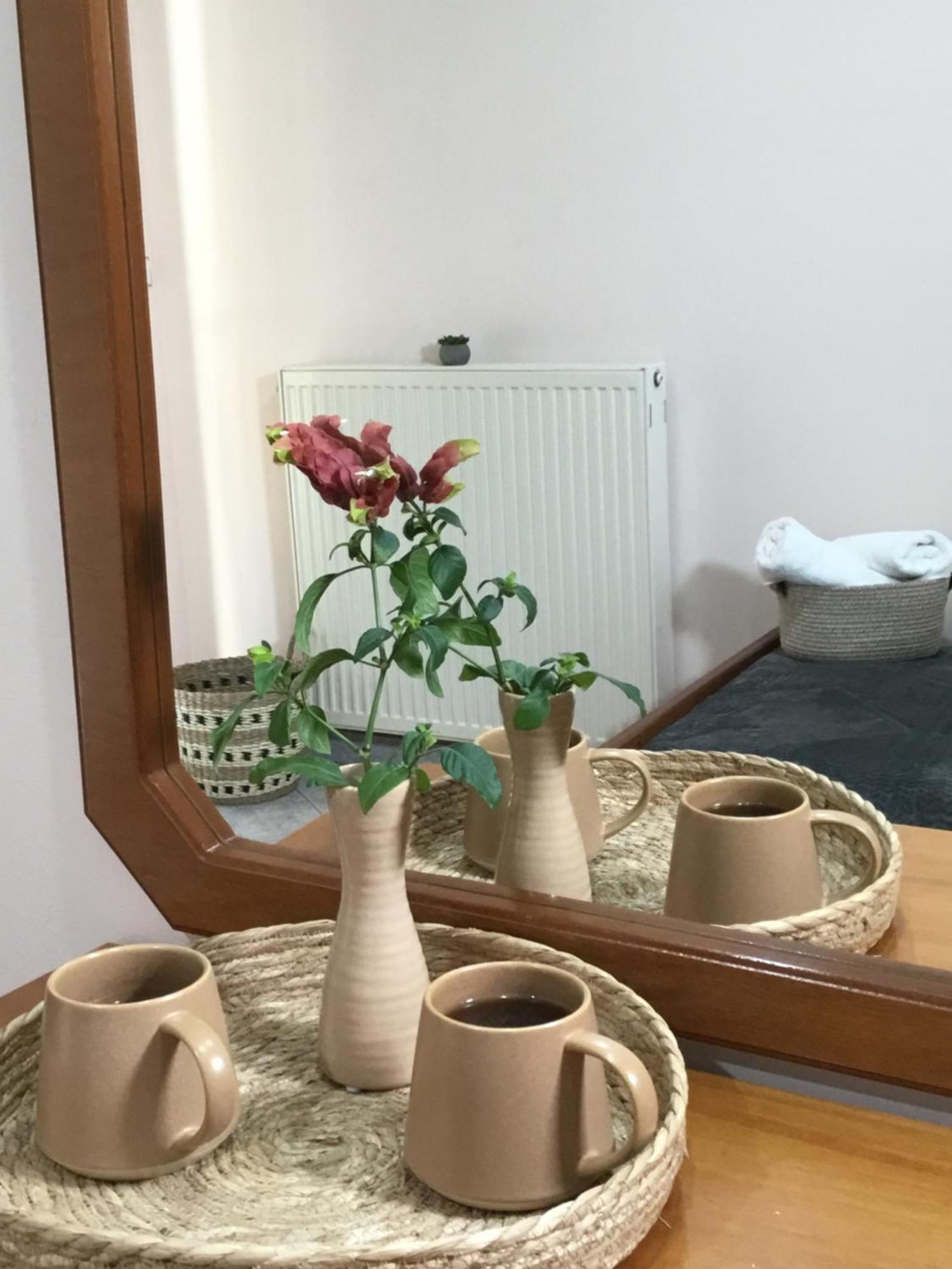 Hotel Triantafyllou Kato Tithorea Bagian luar foto